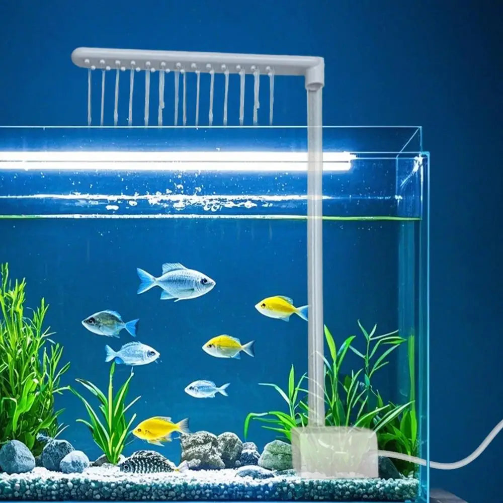 Sürüngen Duş & Banyo Sistemi