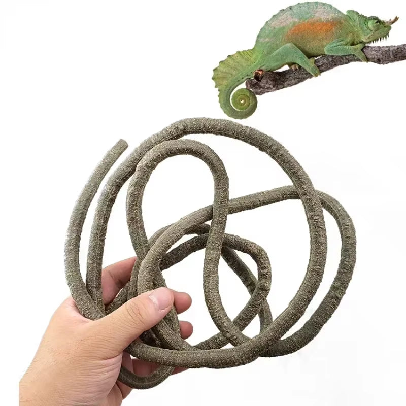 Large Flexible Vines Rattan Habitat Decoration Bendable Jungle Branches Climb Pet Supplies Reptiles Terrarium Decor 1.5/2.5/3M