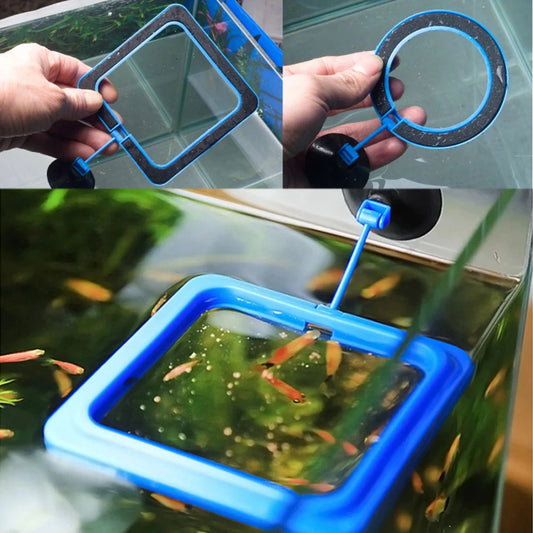 Aquarium Feeding Ring