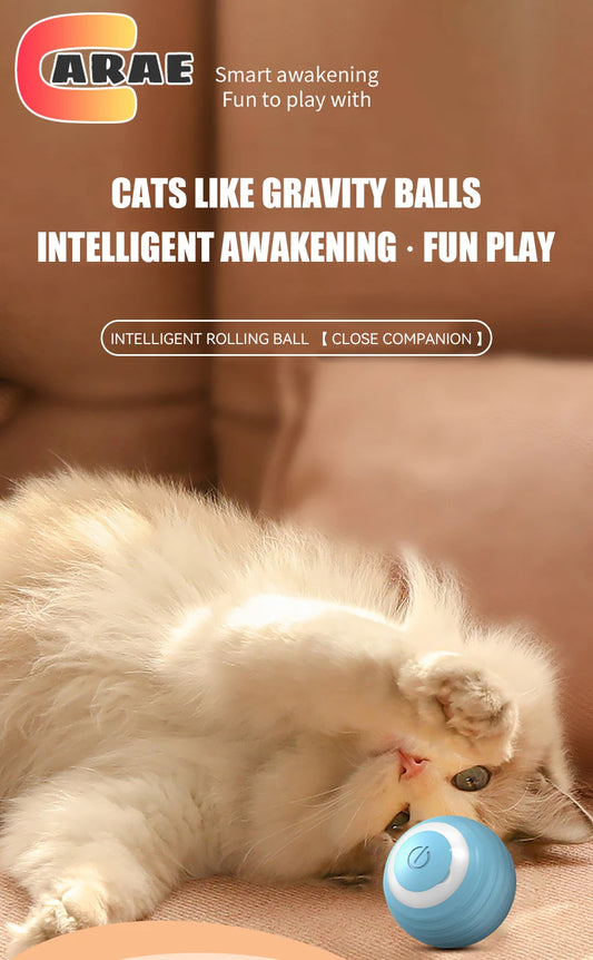 Automatic Cat Play Ball